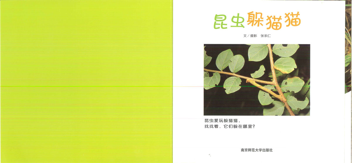 昆虫躲猫猫 (02),绘本,绘本故事,绘本阅读,故事书,童书,图画书,课外阅读